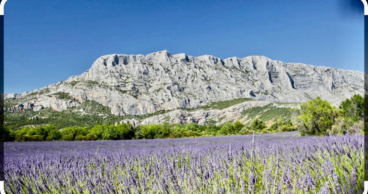 Joli Studio Le Clos D'Aix Avec Grande Terrasse Piscine Et Parking Gratuit Aix-en-Provence Extérieur photo